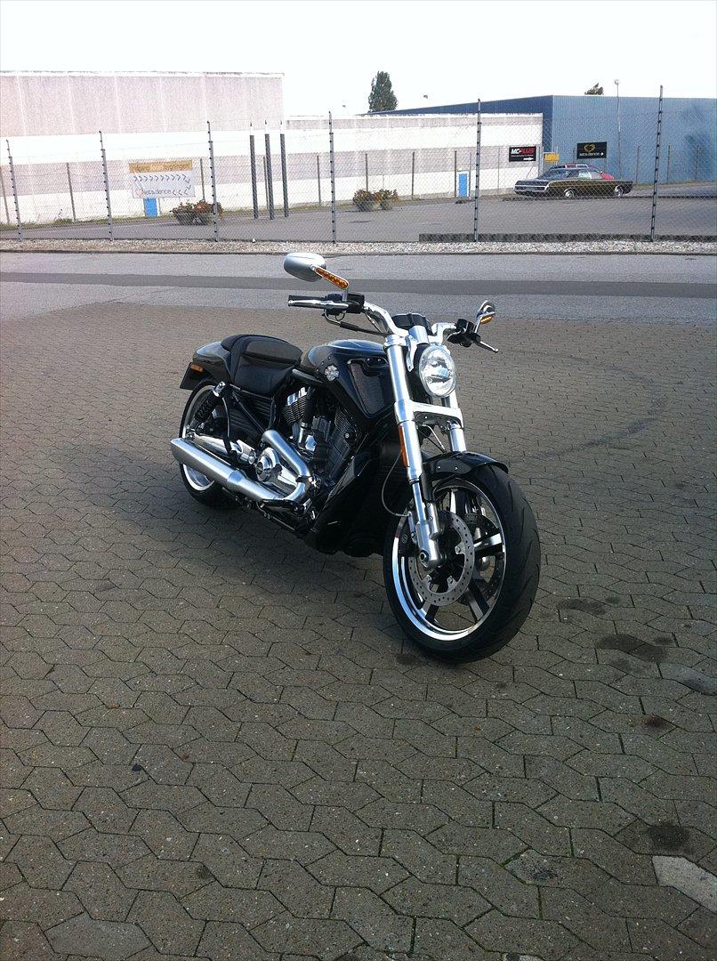 Harley Davidson H-D VRSCF V-ROD MUSCLE billede 5