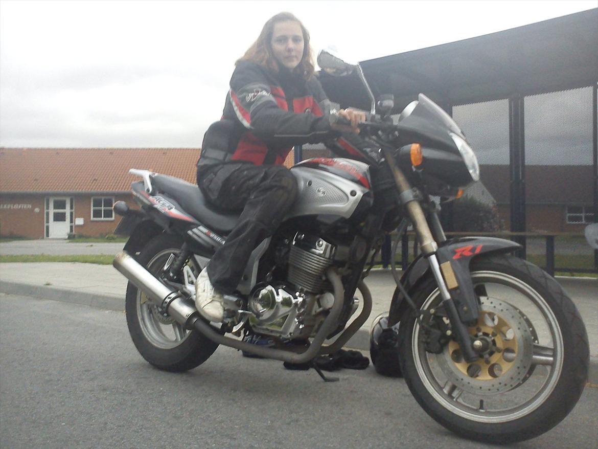 Kinlon JL250 AGA - 2 Skønheder :-) billede 18