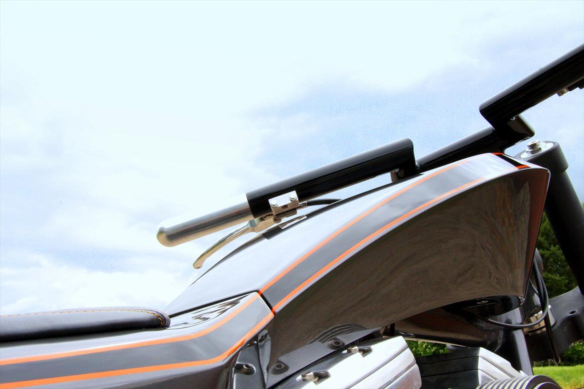 Harley Davidson The black beast billede 3