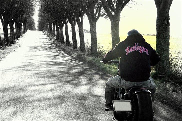 Harley Davidson The black beast billede 4