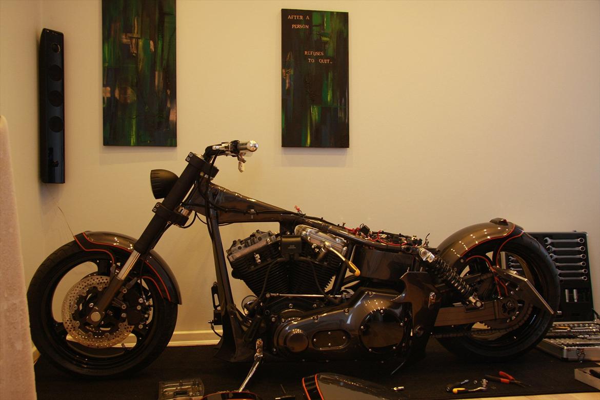 Harley Davidson The black beast billede 6