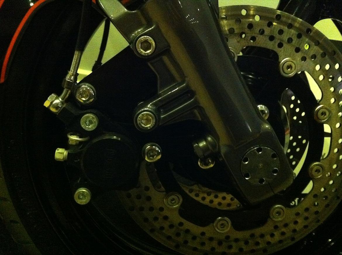 Harley Davidson The black beast billede 16