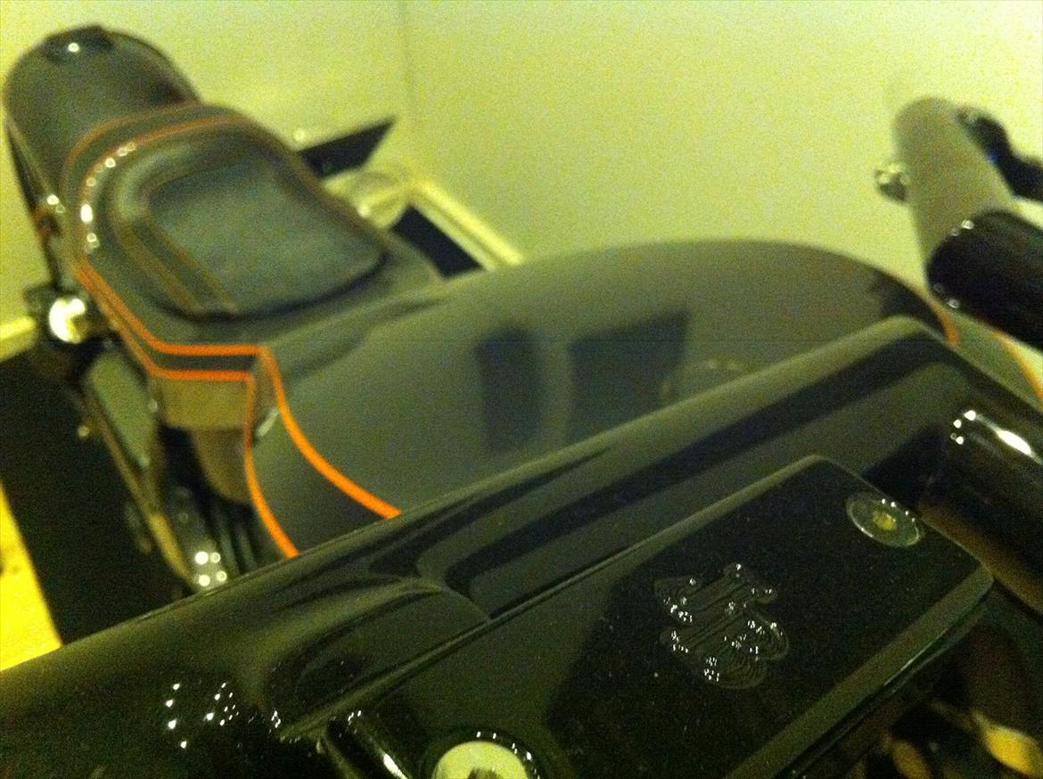 Harley Davidson The black beast billede 17