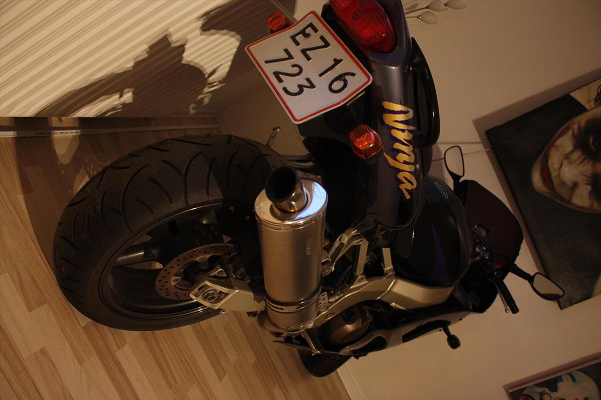 Kawasaki ZX6R Ninja billede 1