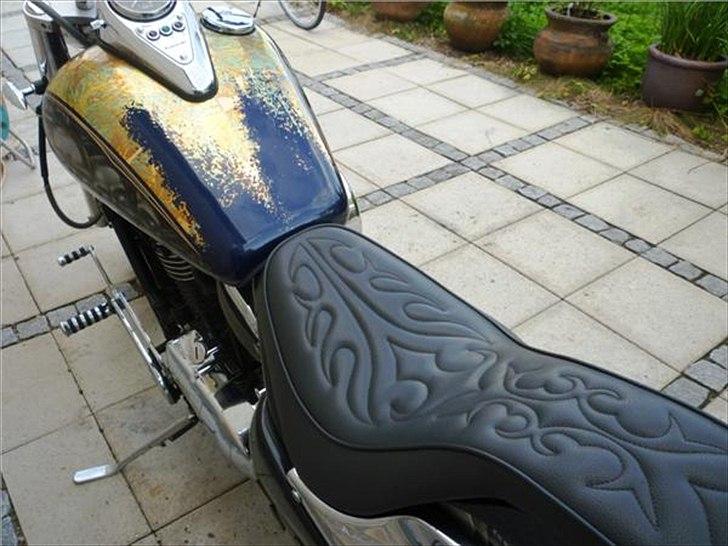 Kawasaki vn800 billede 2