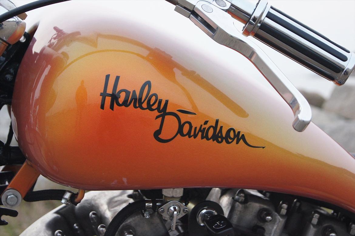 Harley Davidson Late Showel 1200ccm. billede 6