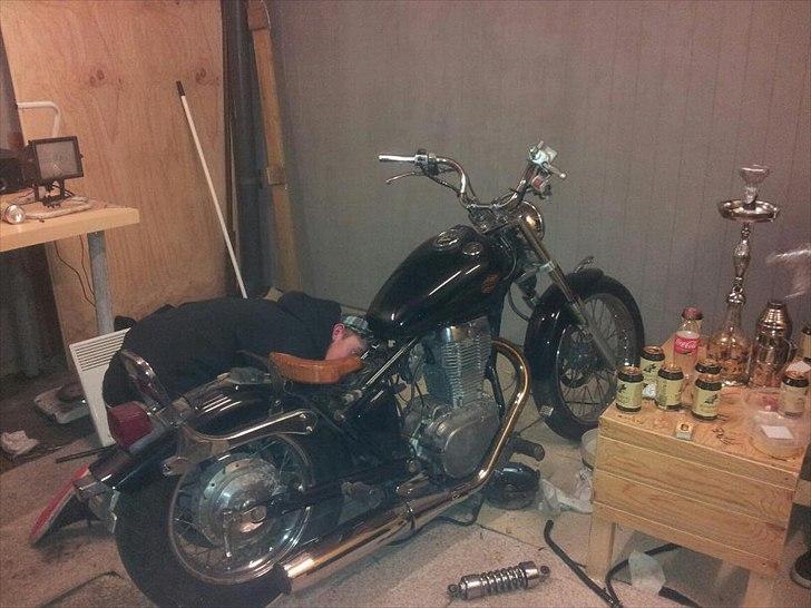 Suzuki Savage LS 650 billede 3