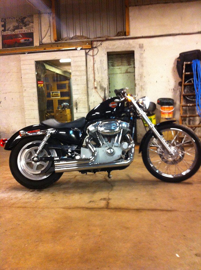 Harley Davidson sportster 883 custom billede 2