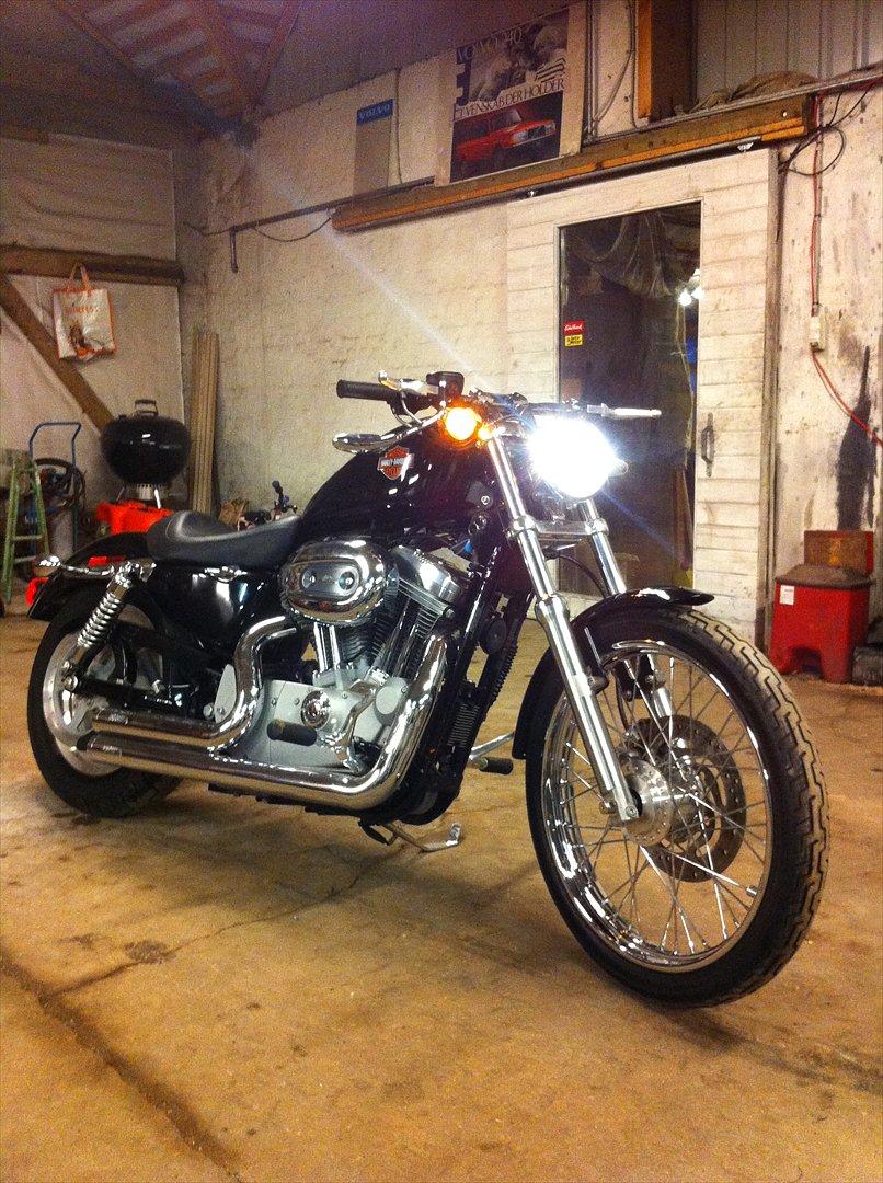 Harley Davidson sportster 883 custom billede 5