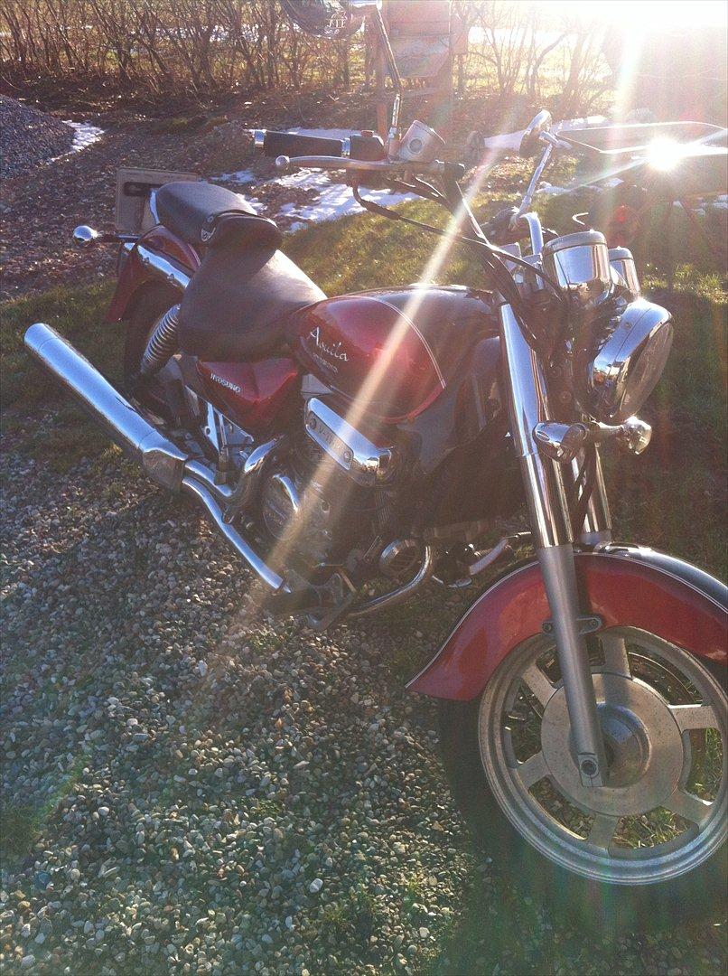 Hyosung gv 250 Aquila billede 1