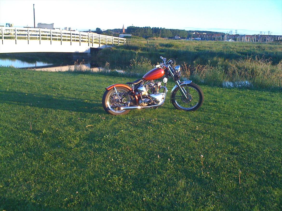 Triumph tiger 100 billede 3