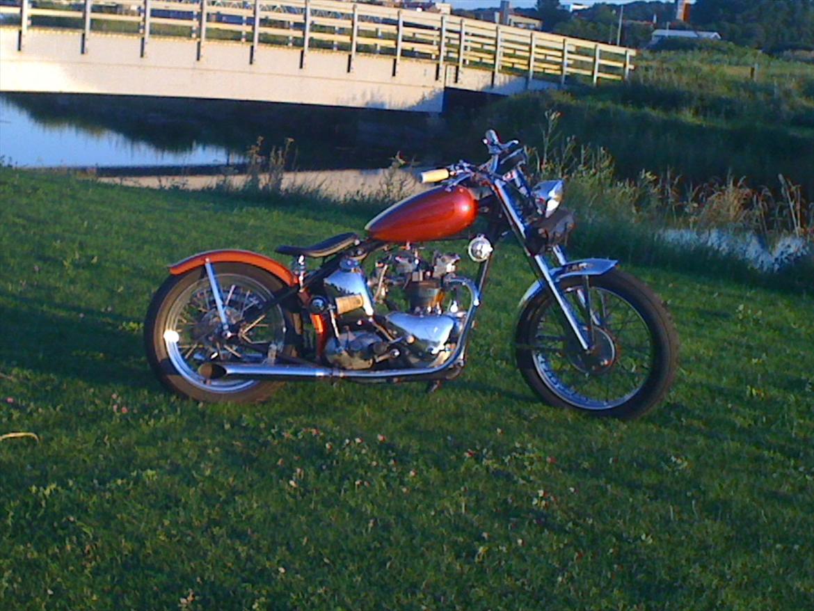 Triumph tiger 100 billede 1