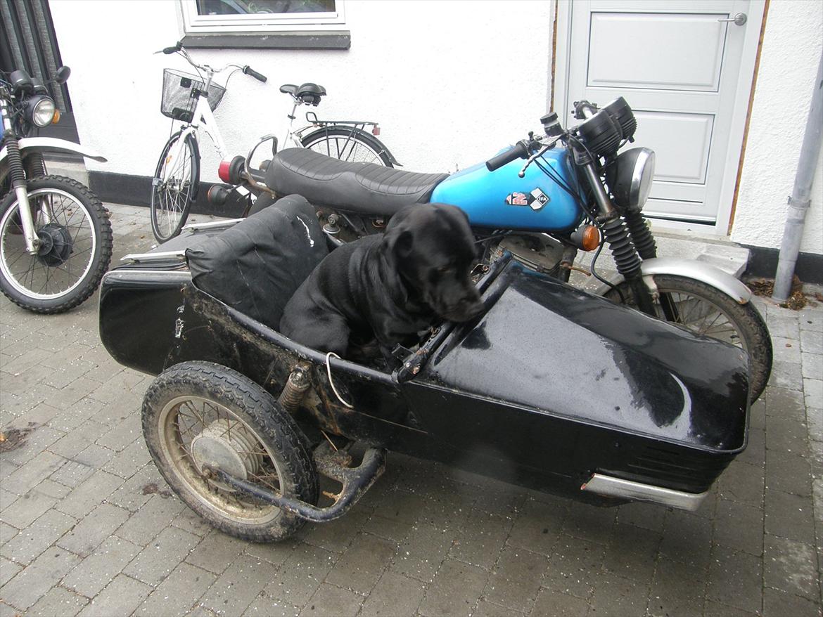 MZ etz 250 billede 2