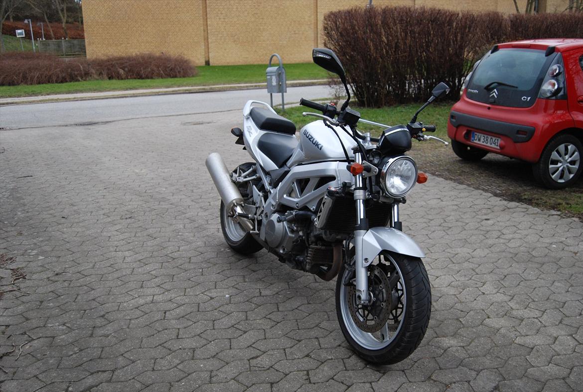 Suzuki Sv Mille Nudo billede 4