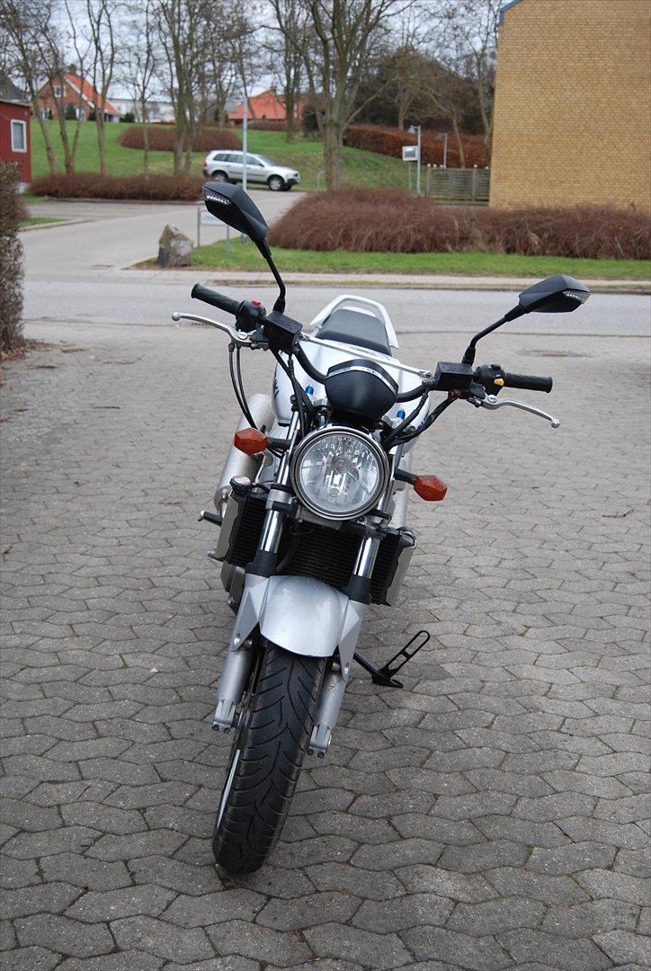 Suzuki Sv Mille Nudo billede 5