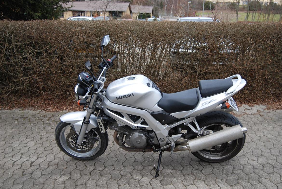 Suzuki Sv Mille Nudo billede 9