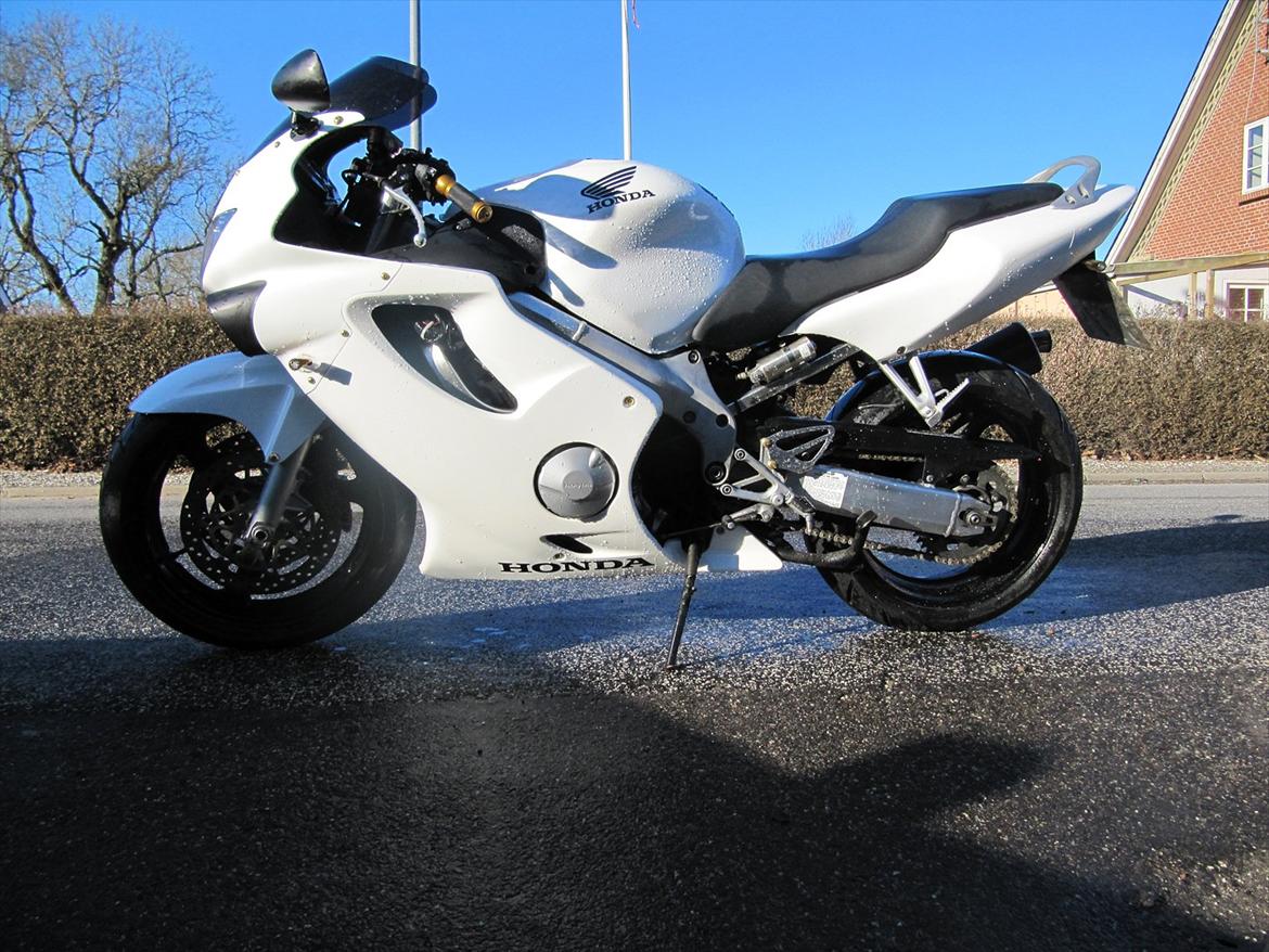 Honda Cbr 600 f4 billede 15