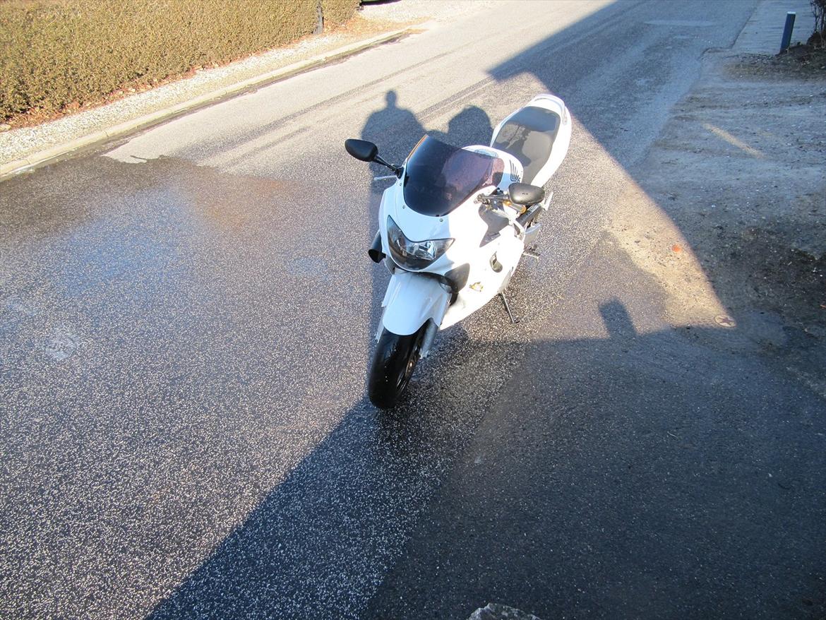 Honda Cbr 600 f4 billede 16