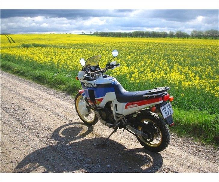 Honda XRV 650 billede 4