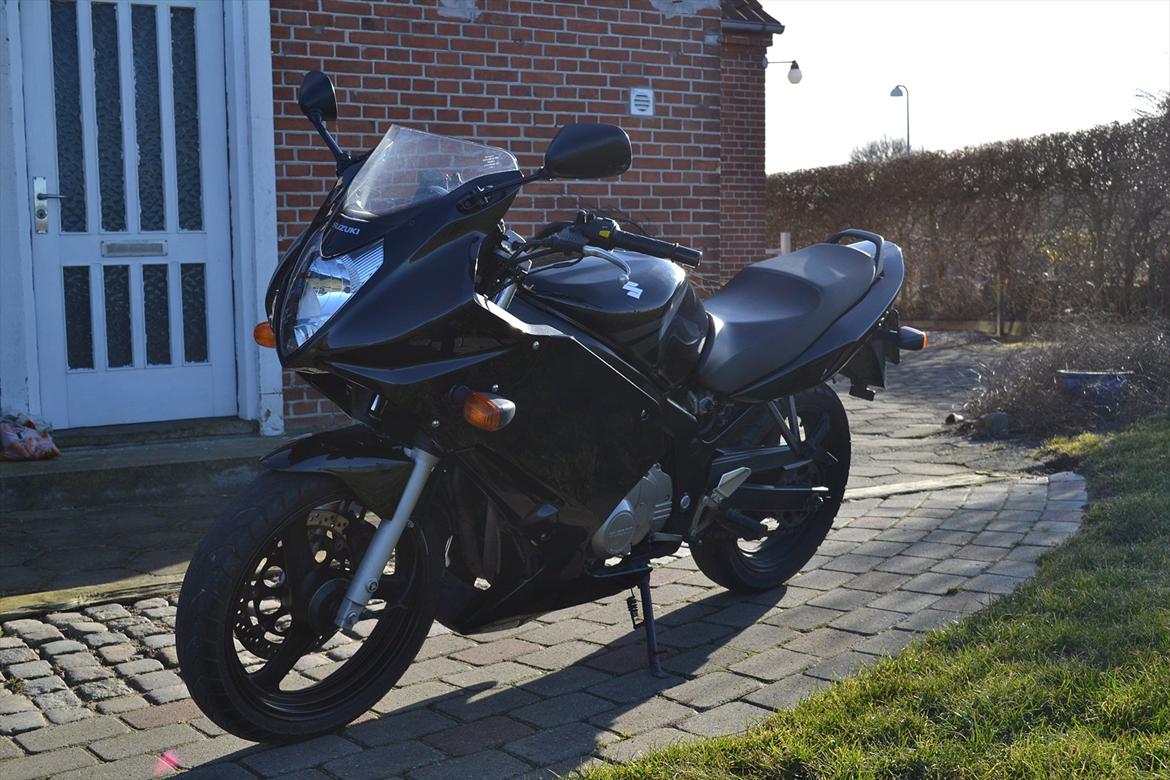 Suzuki GS 500 F - Lige efter første tur i den nye sæson ..
Igen igen billede 7