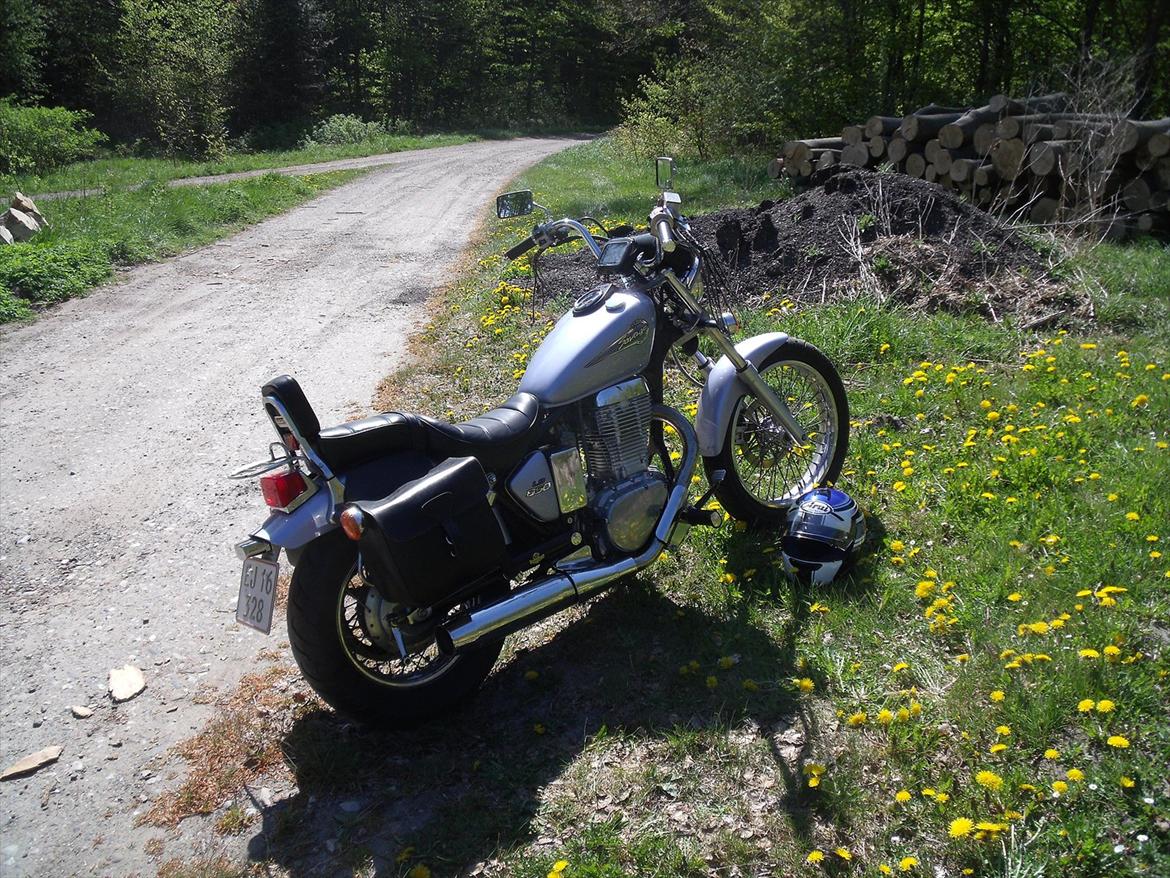 Suzuki LS 650 Savage *SOLGT* - Forår 2011 - Pommelnakke traktørsted ved Hæsnæs - østlige Falster. billede 3