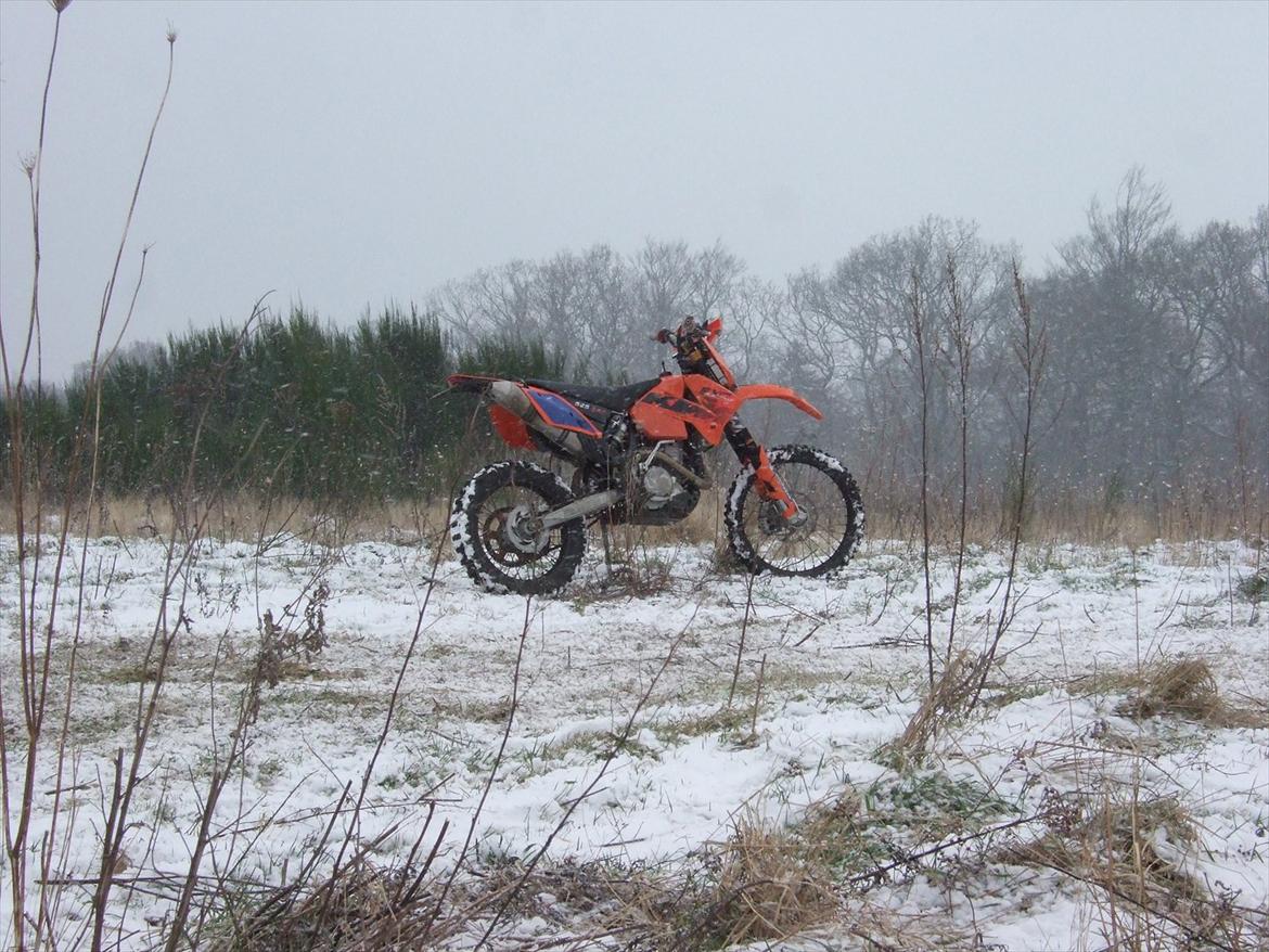 KTM EXC 525 Racing billede 4