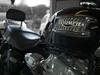 Triumph Thunderbird