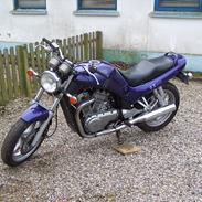 Suzuki VX800