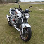 Suzuki SV 1000 K4