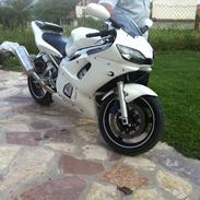 Yamaha YZF R6