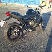 Yamaha XJ6-N