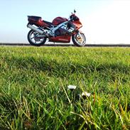 Honda CBR900RR Fireblade