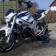 Suzuki TL1000R Streetfighter