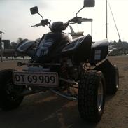 Hyosung rapier te 450