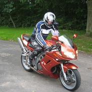 Suzuki SV650S