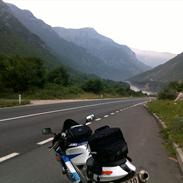 Suzuki TL1000R