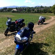 Suzuki TL1000R
