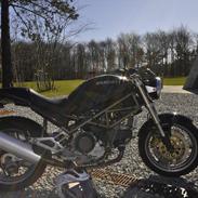 Ducati Monster