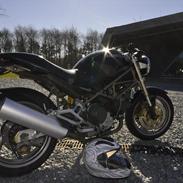 Ducati Monster