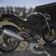 Ducati Monster