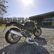 Ducati Monster