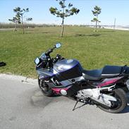 Honda CBR 600 (F2)