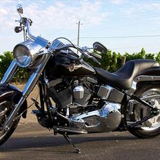 Harley Davidson FLSTFI