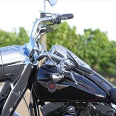 Harley Davidson FLSTFI