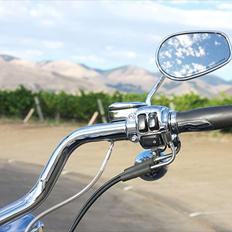 Harley Davidson FLSTFI