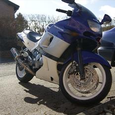 Kawasaki zzr600 (zx6e)