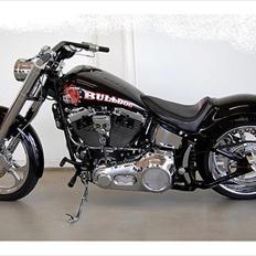 Harley Davidson Softail Custom "BULLDOG"