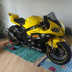 Yamaha R6 Knallerten