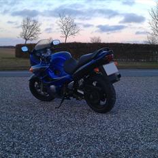 Suzuki GSX 600 F