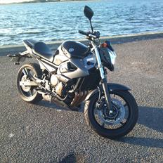 Yamaha XJ6-N